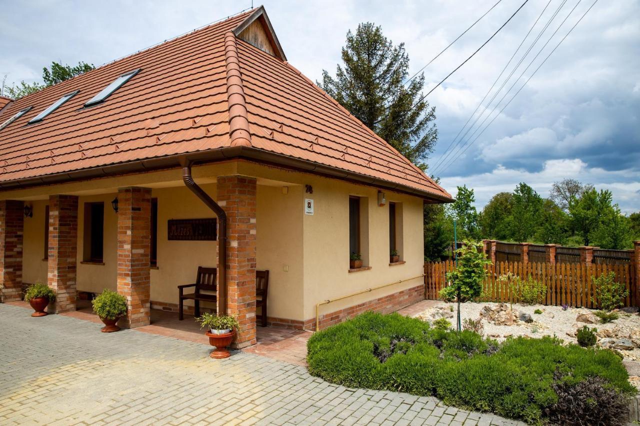 Mezes Vendeghaz Es Apiterapias Koezpont Hotel Vizsoly Exterior photo